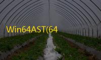 Win64AST(64位高级系统工具)